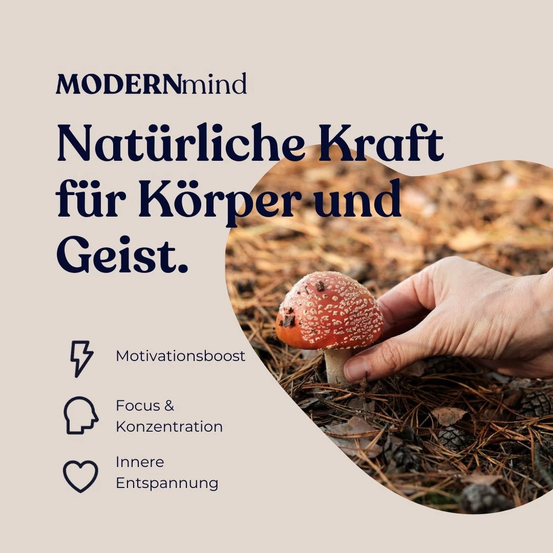 Fliegenpilz Microdosing Kapseln – Natürliche Kraft für Körper und Geist - Image 3