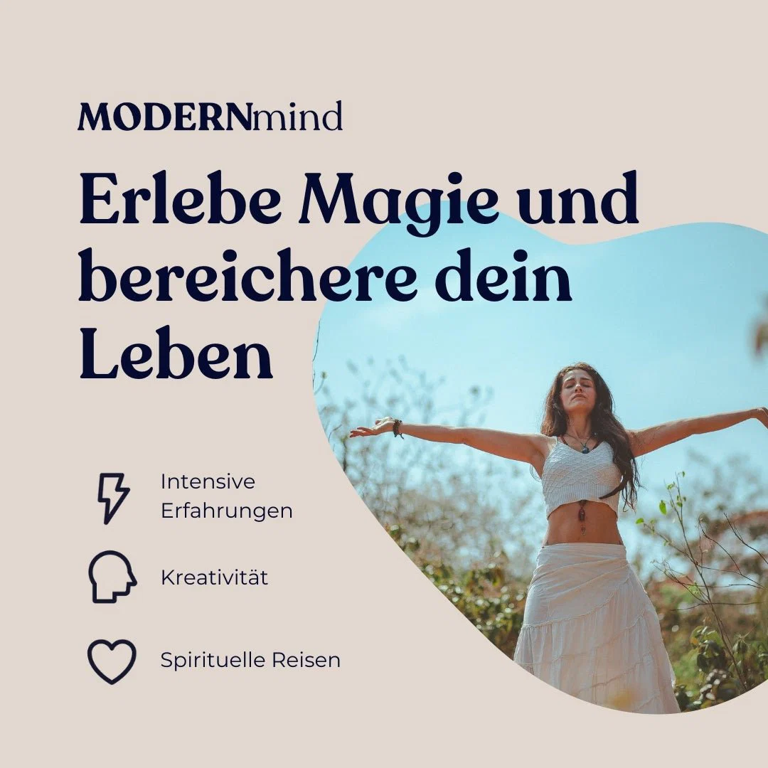 Legales DMT - Image 3